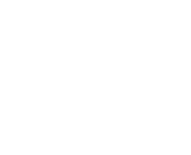 Selpak Professional