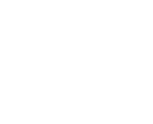 Solo Professional